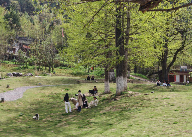 春满田河，古韵新生