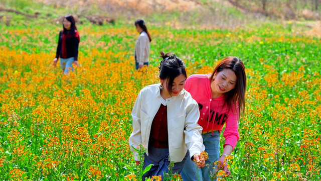 看不完，根本看不完！