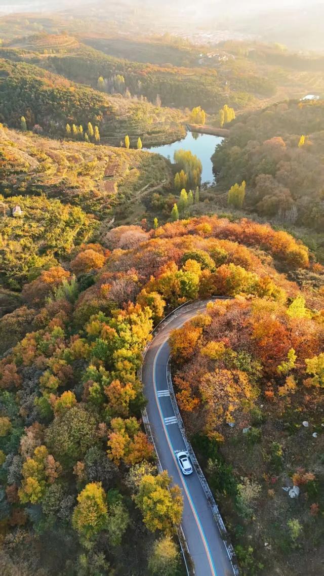 璀璨斑斓！日照这条路，现在美到不像话！