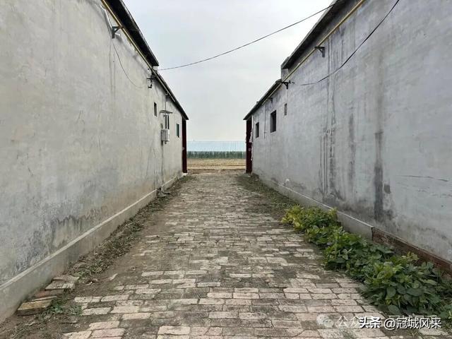 冠县乡韵·桑阿镇轧庄