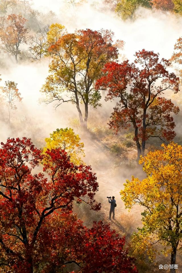 「散文」回首处，看群山尽染，绚烂是初冬的独白