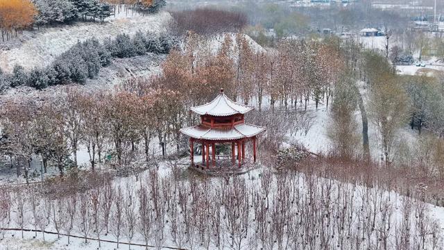 收好这份石家庄“雪景打卡地图”！走起→