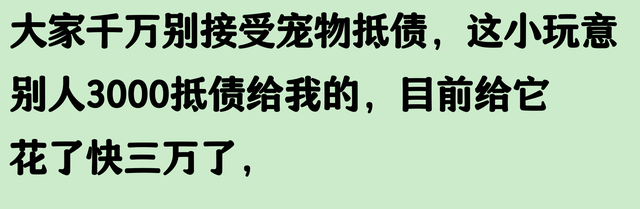 抵债的方式能有多离谱？看了网友的分享目瞪口呆，一个比一个离谱
