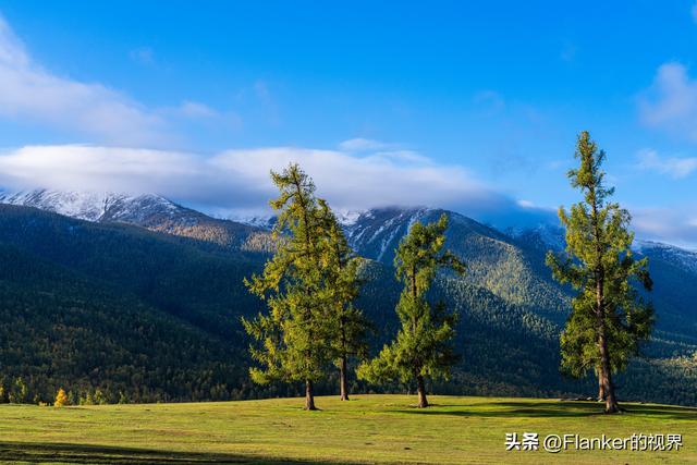 我的阿勒泰之旅(2)
