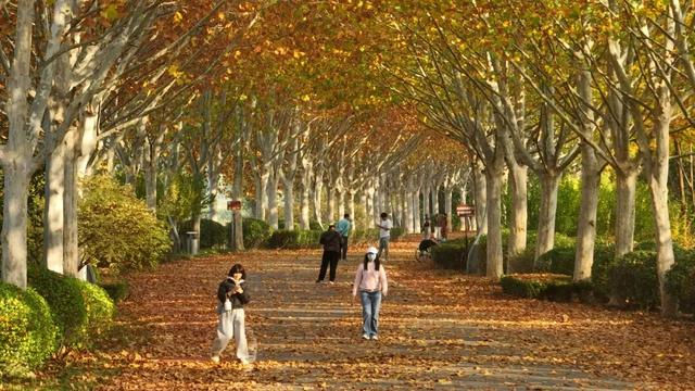 这个冬天，在济宁提升幸福感，你可以这样做