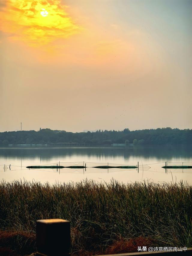 东湖绿道东西大环线五十公里畅快骑行！