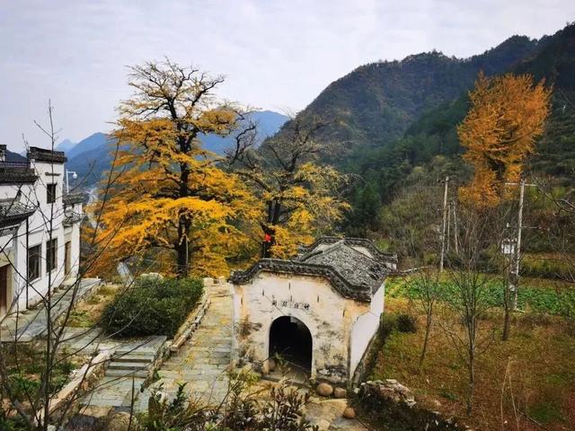 美景、品美食，来歙县，遇见一场“秋意浓”丨第十五届安徽国际文化旅游节