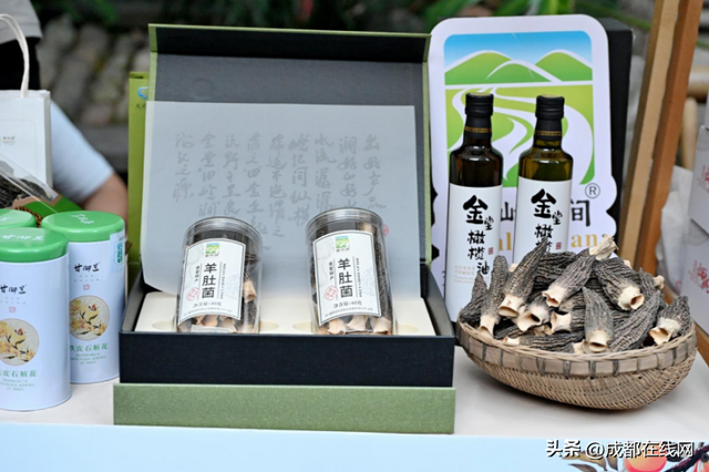 消夏夜不停歇！成都6条精品线路，带你领略文商旅体新风采