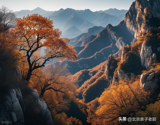 西山国家森林公园 一日赏尽红叶与京城夜景