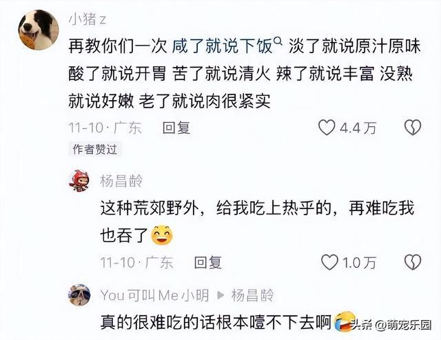 露营遇到三类人，营地大厨让我念念不忘，自然通带我上了一堂课