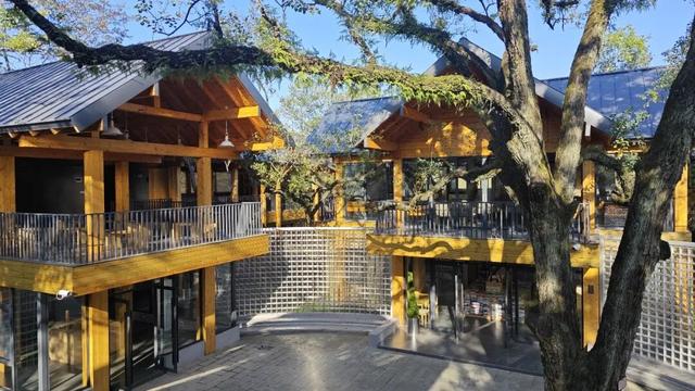 收好始兴这条线路，一天玩转艺术、古村与落羽杉，追一场岭南最绚烂的秋！