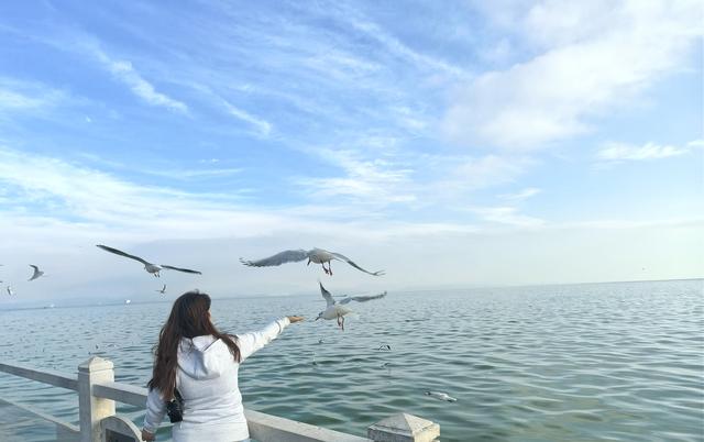 《雨霖铃·滇池秋望》