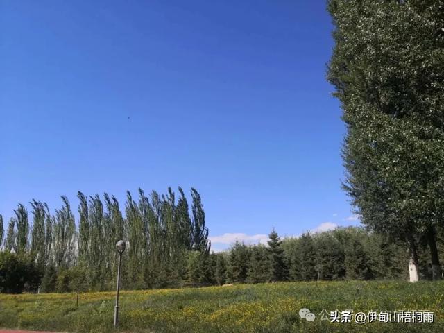 新疆之行（九）博乐，一座令人心动的宜居城市