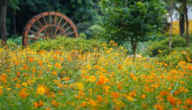 为什么十个亲家，九家关系处得都一般，原因就是一个，理念不一样