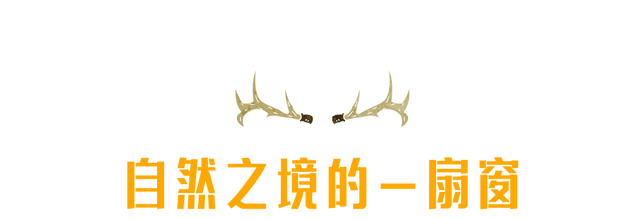 一份乌鲁木齐博物馆地图