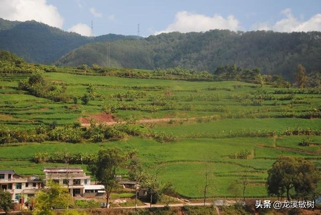 戴维考察了重庆附近的自然资源，然后经过乐山，前往成都