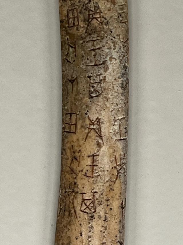 历史的回响——安阳殷墟印象