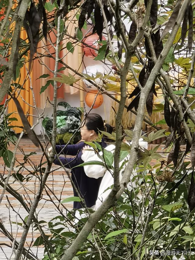 武义璟园布置的各地古民居令人大开眼界，展品令人大饱眼福