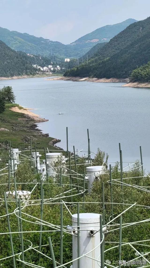 逃离热浪！去“浙南之巅”这片小众山间秘境，一键解锁夏日清凉！