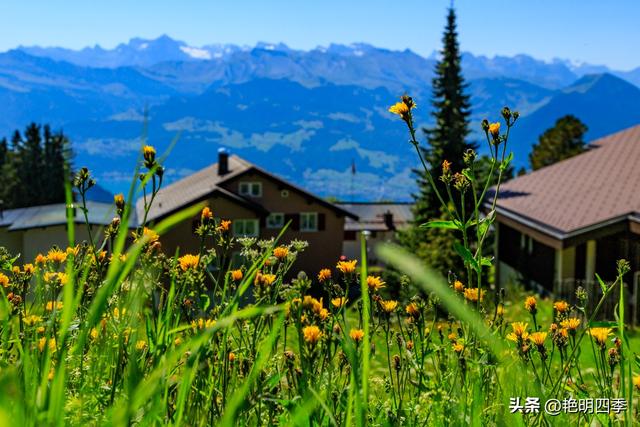 欧游杂记（5）‖ 齿轮火车几上几下瑞吉山，缆车凌空飞跃韦吉斯