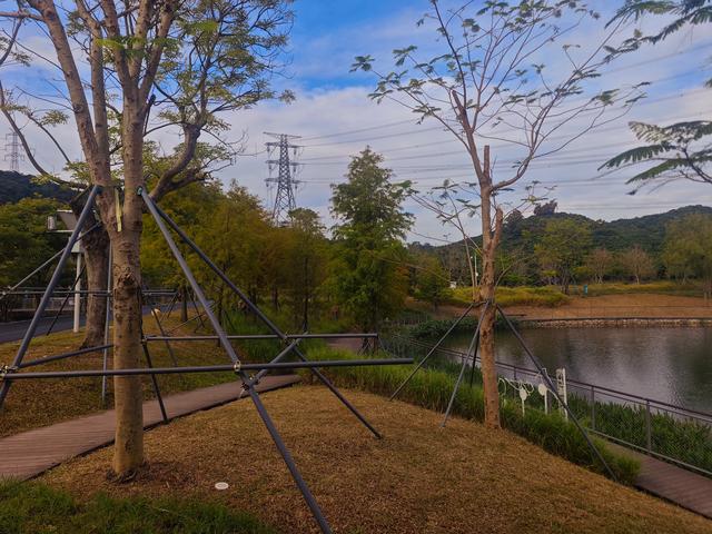 环西丽湖绿道骑行慢行随拍-动个好奇心