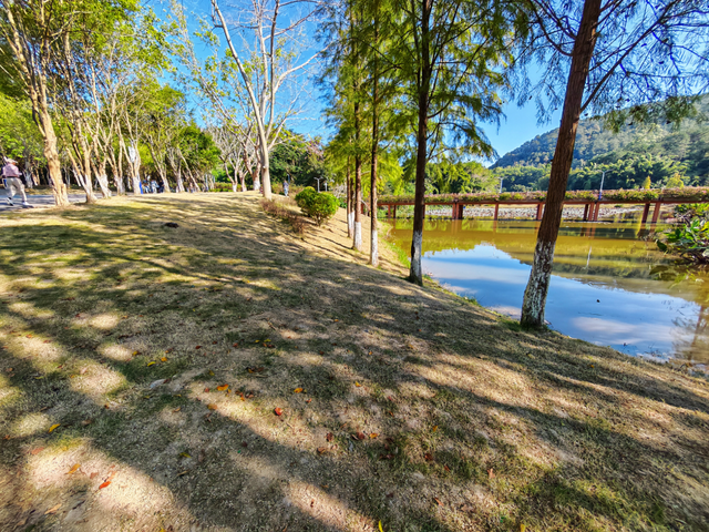 南山秋艳！云浮市民前来打卡→