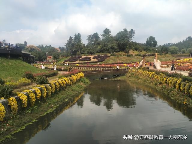 麻城旅游：2025年金秋，麻城五脑山菊花大观园福菊飘香，花海烂漫