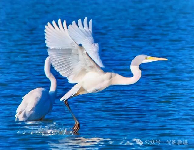 【近距离看敦煌】给党河风情线的秋色来个特写