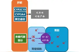 艾司奥美拉唑、雷贝拉唑、泮托拉唑、奥美拉唑之间的区别！图片