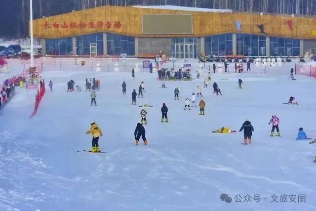 听说在安图滑雪，摔跤是种享受？这粉雪绝了，滑一次就上瘾！