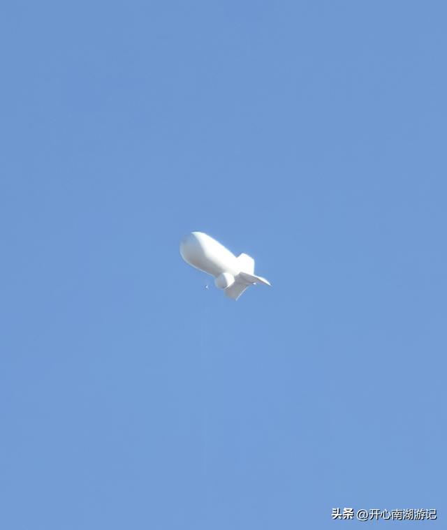 走，去渤海湾看候鸟…