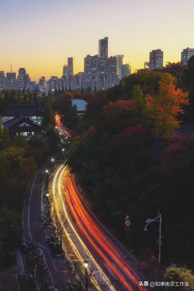 51张照片告诉你，南京的秋天有多美！