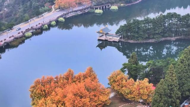 庐山景区开启2025年金秋赏枫季