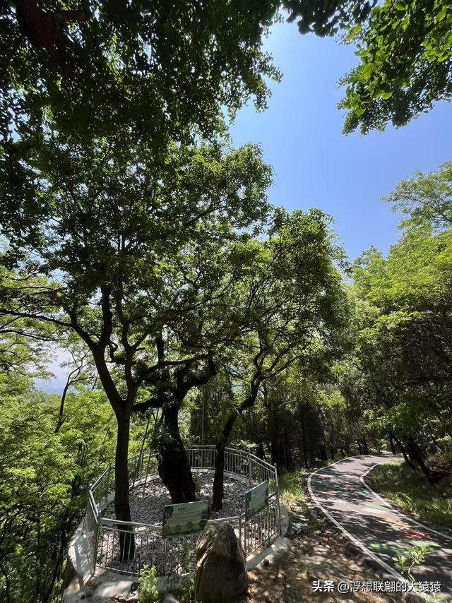 这回去莱芜爬山，目的地：永宁崮，却误打误撞又进了大舟院