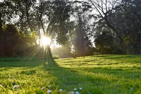 维生素D3的好处 你知道吗？图片