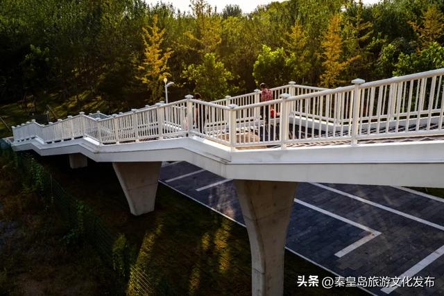 秦皇岛最大临海公园迎来“颜值巅峰”，栈桥听海、枫林斑斓，打卡走起！