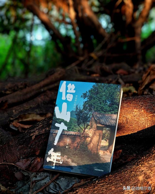 在终南山上隐居十年，是一种什么体验？