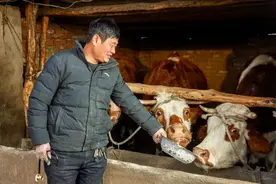 专注扯犊子30年的我，成了别人口中的神医图片