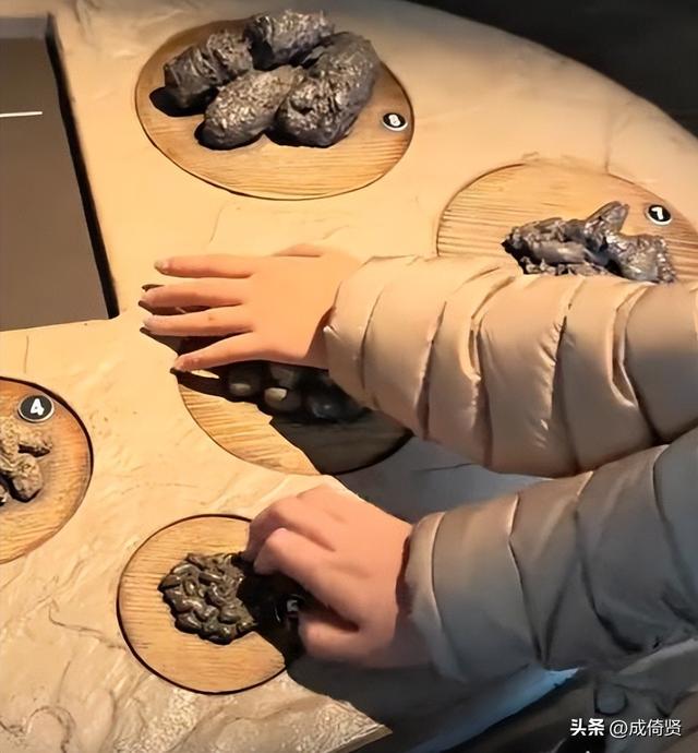 闯祸了！央视主持人国外游，携妻女高调炫海外生活，被骂网友骂惨