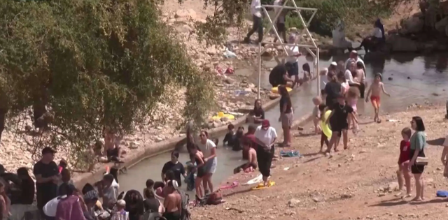 巴勒斯坦七旬农民橄榄林被毁，真相曝光，令人心寒