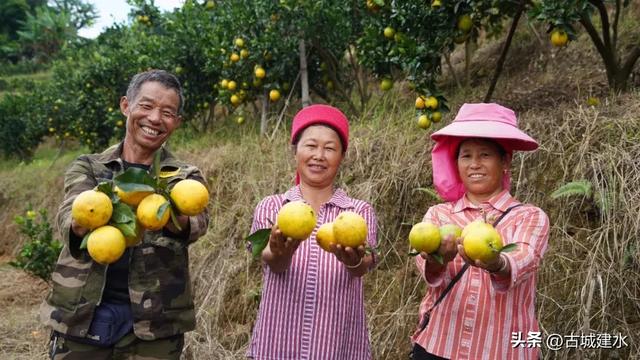今天,红河州68岁了!