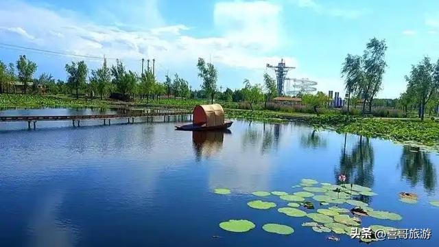 探秘三江腹地的生态明珠：同江八岔岛国家级自然保护区