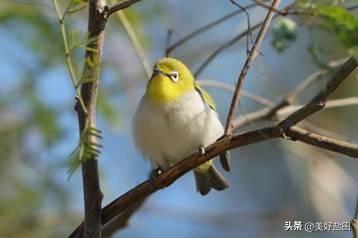 与城共栖 | 在盐田，这样度过全国生态日