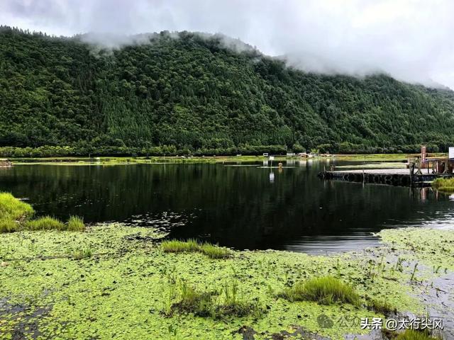 腾冲之肺---北海湿地