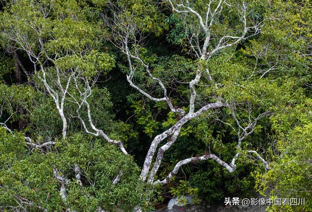 海南霸王岭国家森林公园