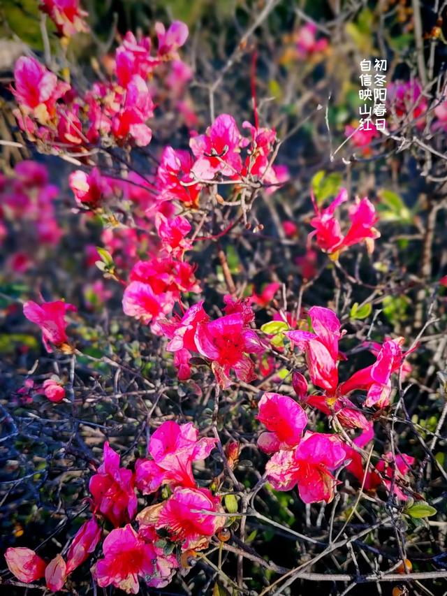 木兰古门的风光