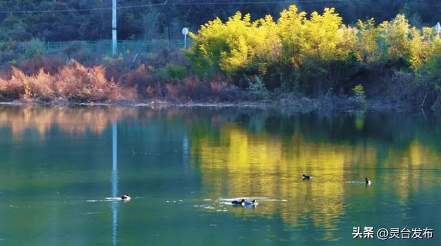 把灵台秋韵的山水诗意 都藏进这个秋天里