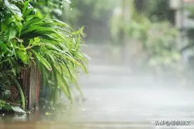 老公出差半年，我和隔壁单身爸爸互生情愫，感情难以自拔图片