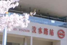 快来逛！静安樱花车站不觉间已美成一片花海！图片