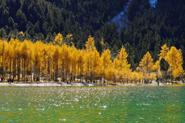 免门票丨毕棚沟献给全国师生们的秋日礼物！